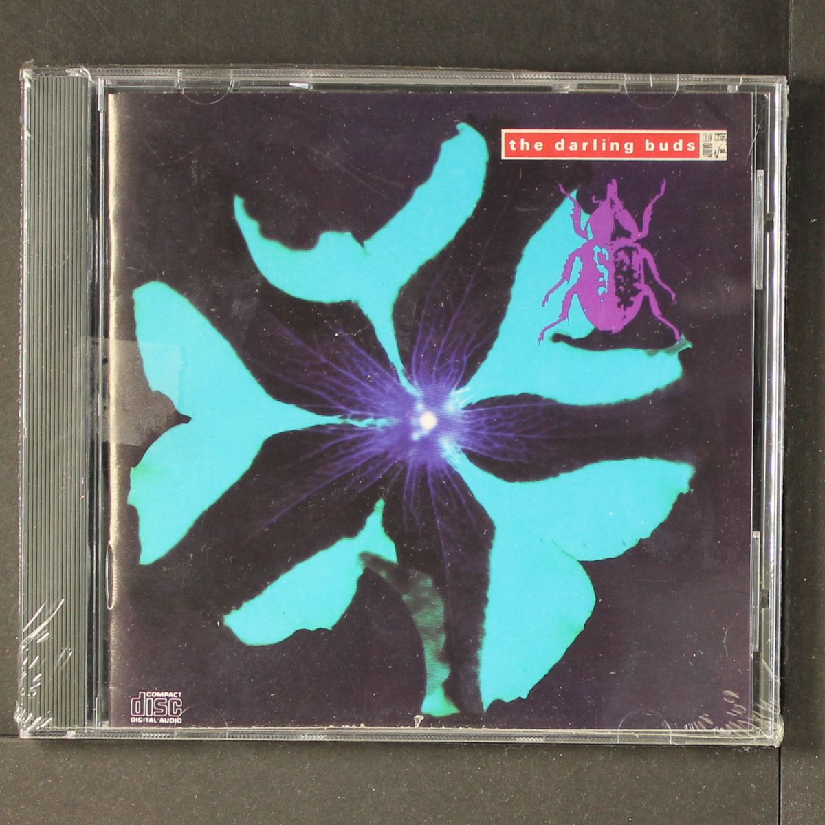 crawdaddy by DARLING BUDS