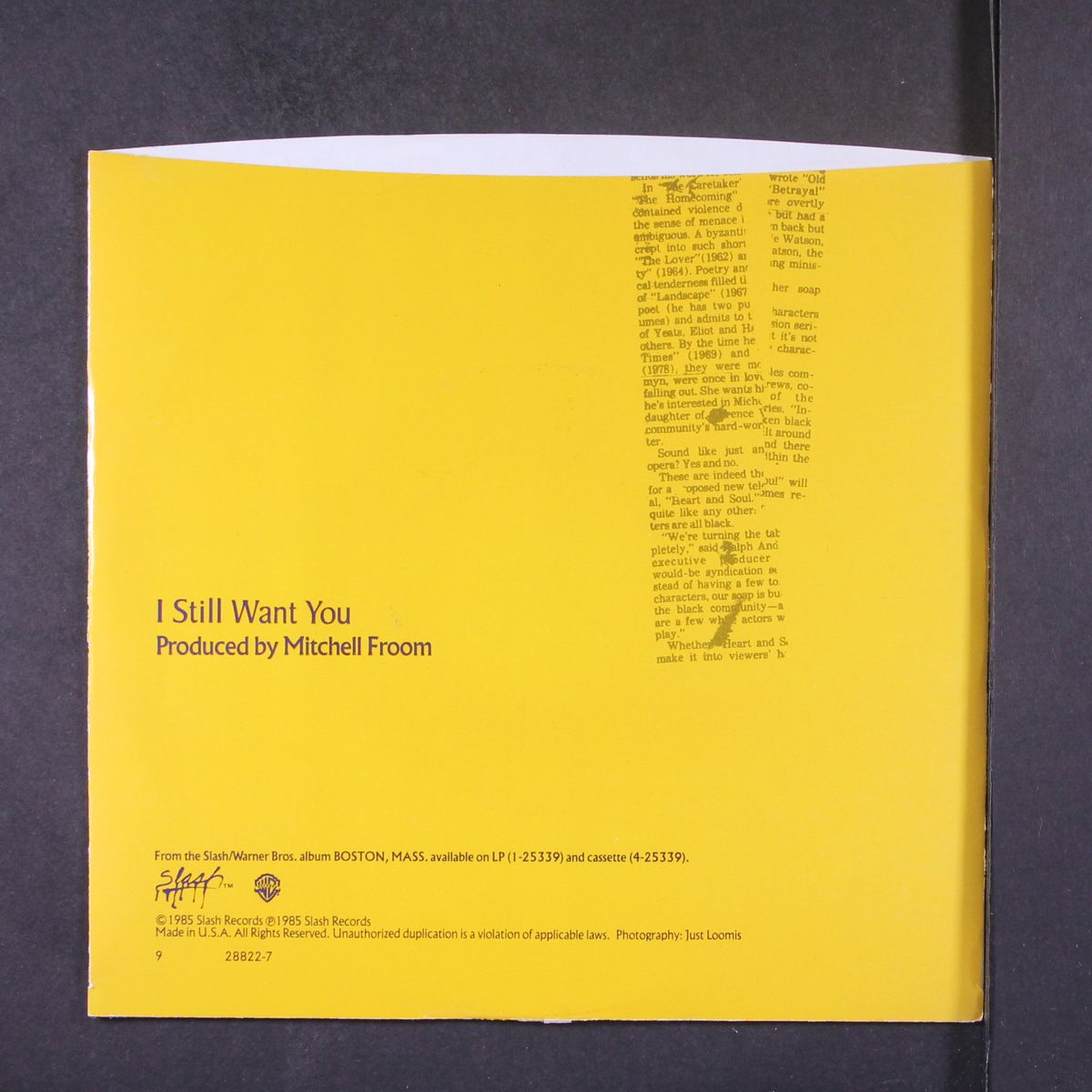 i still want you / hand in hand by DEL FUEGOS