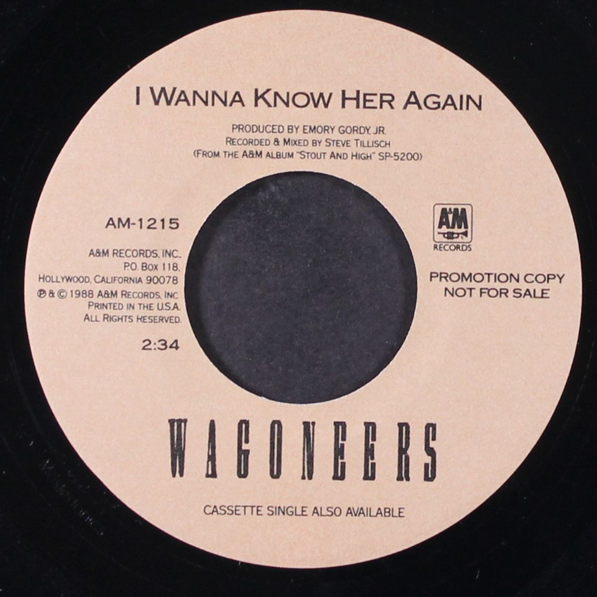 i wanna know her again by WAGONEERS
