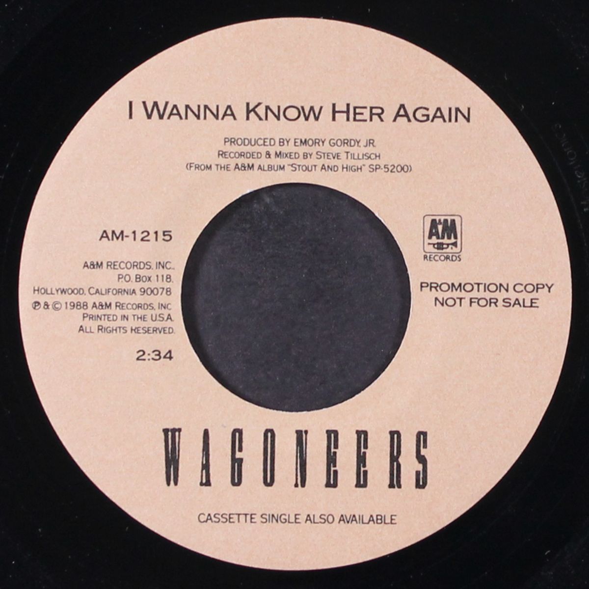 i wanna know her again by WAGONEERS