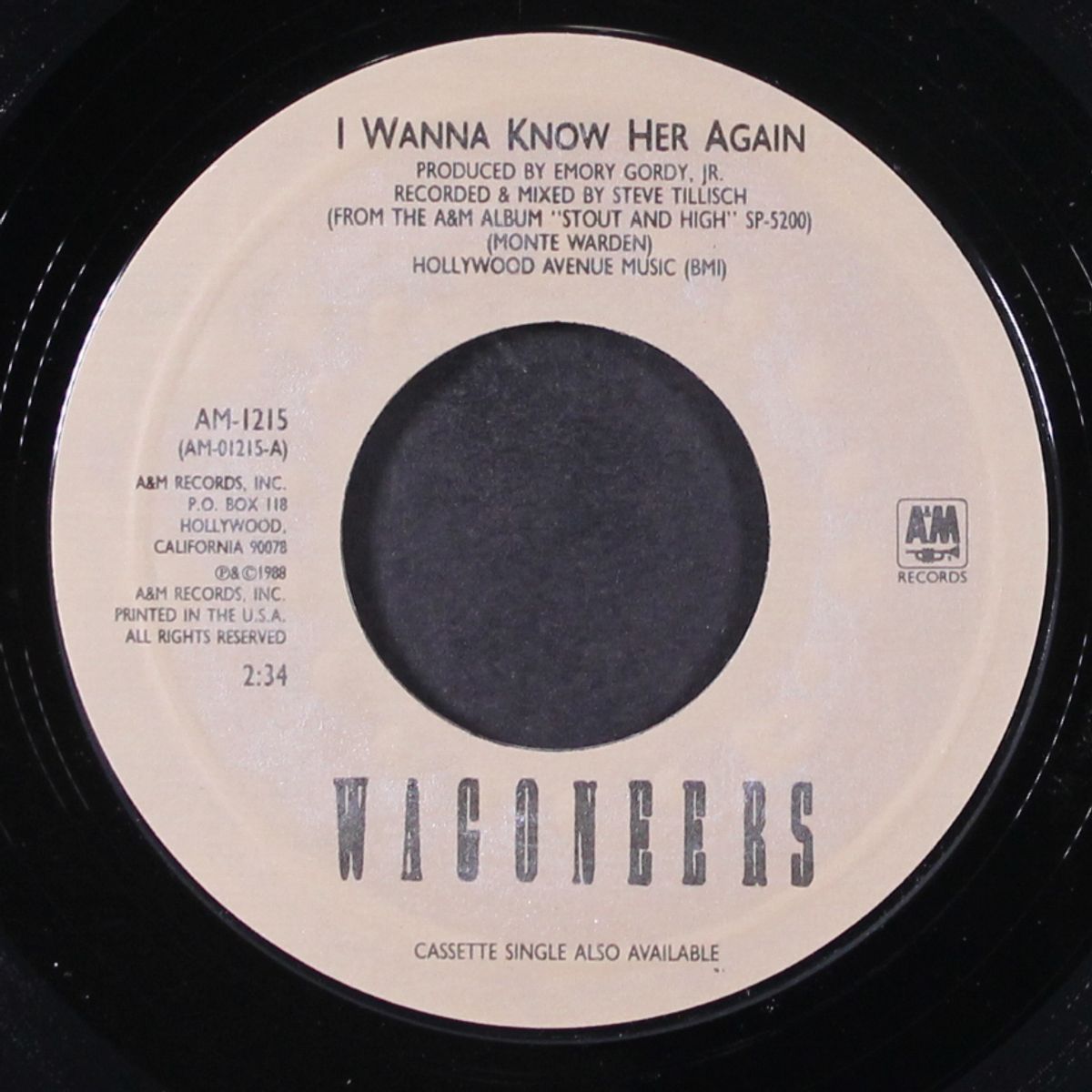 i wanna know her again / stout and high by WAGONEERS