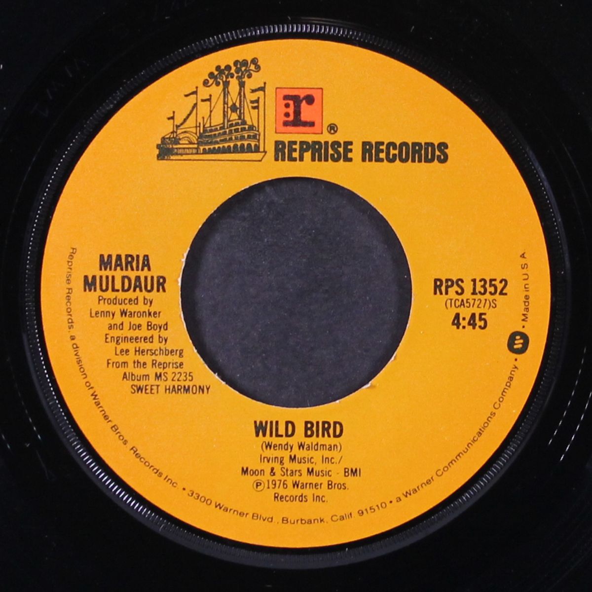 wild bird by MARIA MULDAUR