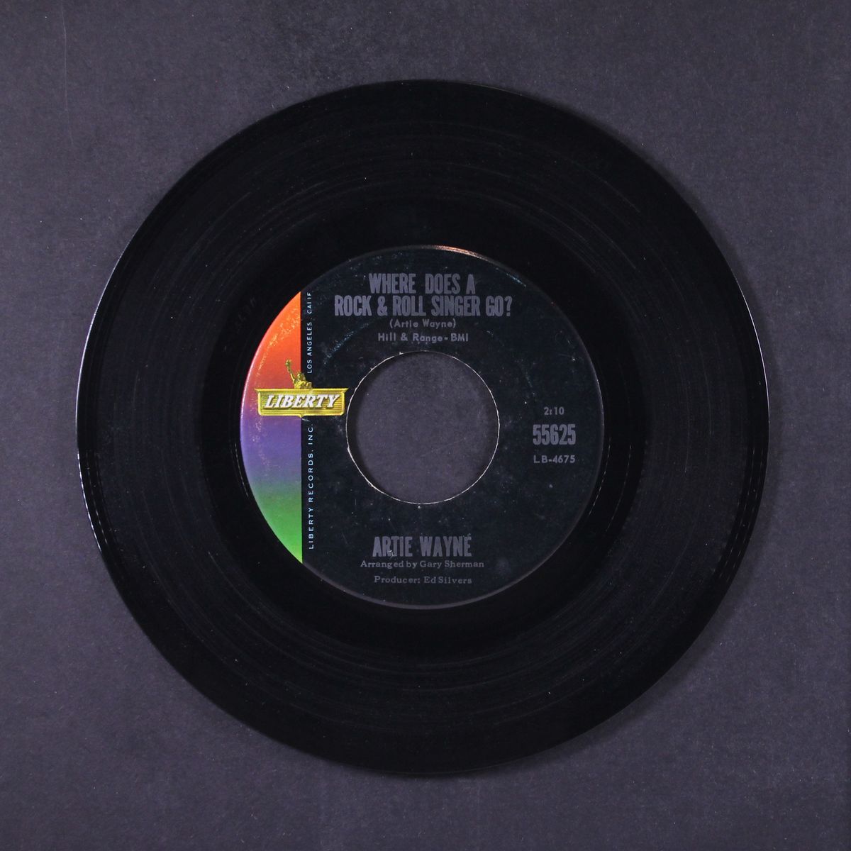where does a rock & roll singer go? / i hurt that girl by ARTIE WAYNE