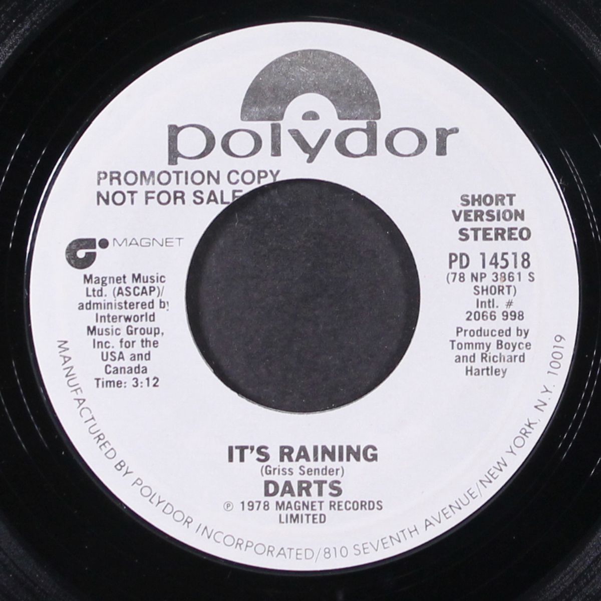 it's raining / mono by DARTS