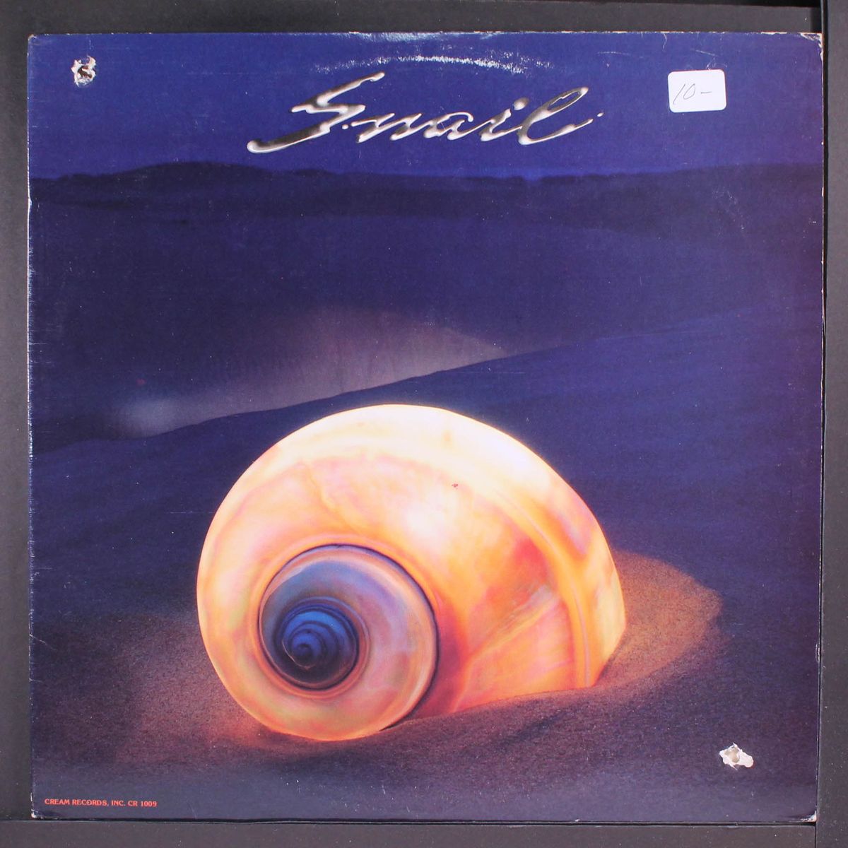 snail by SNAIL