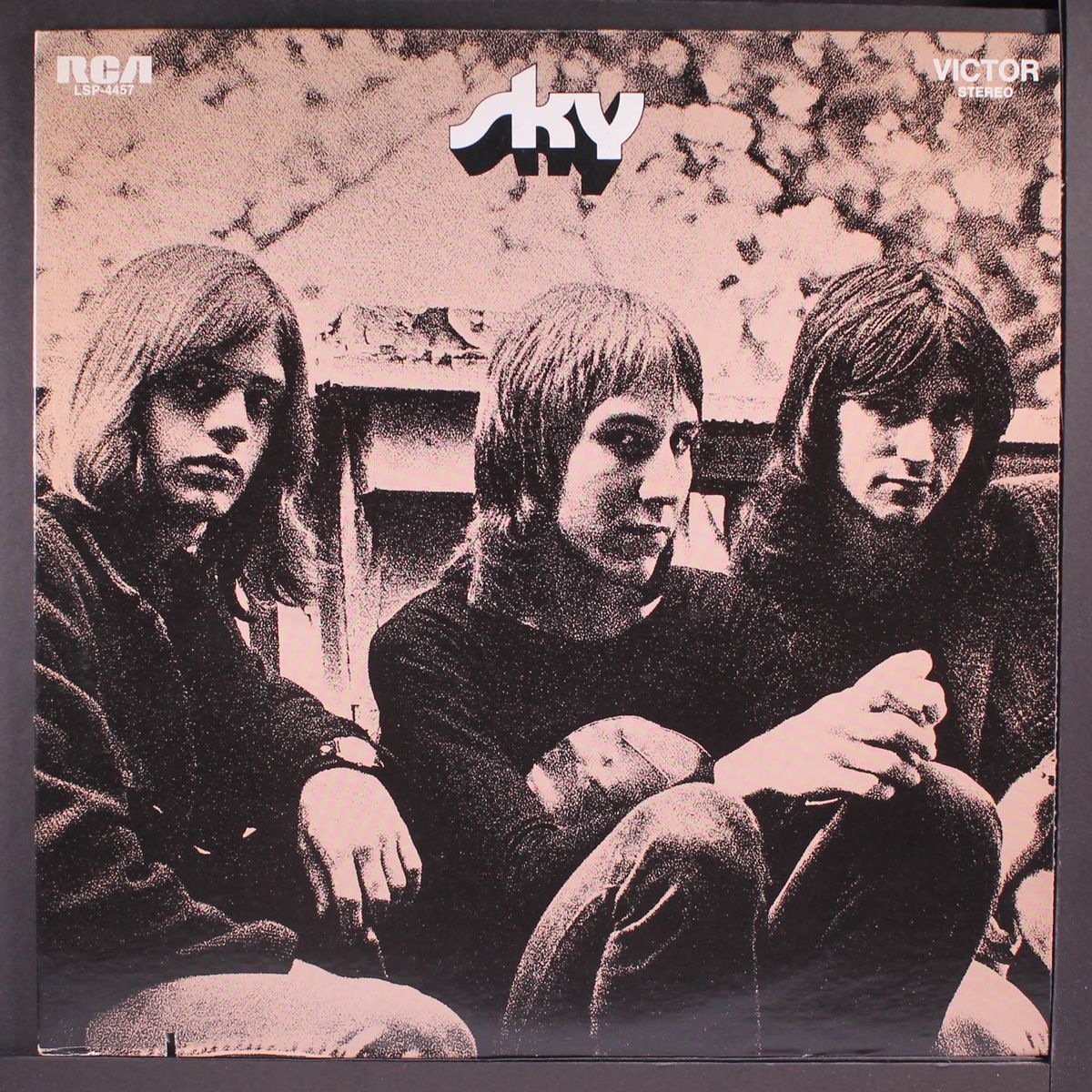 sky (don't hold back) by SKY