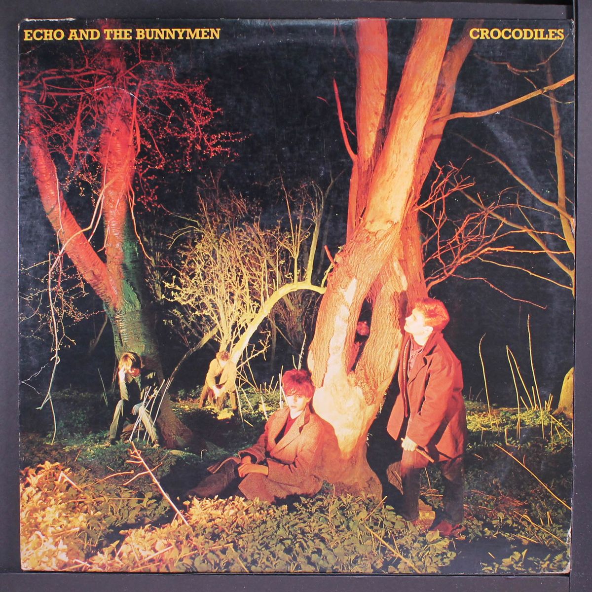 crocodiles by ECHO & THE BUNNYMEN