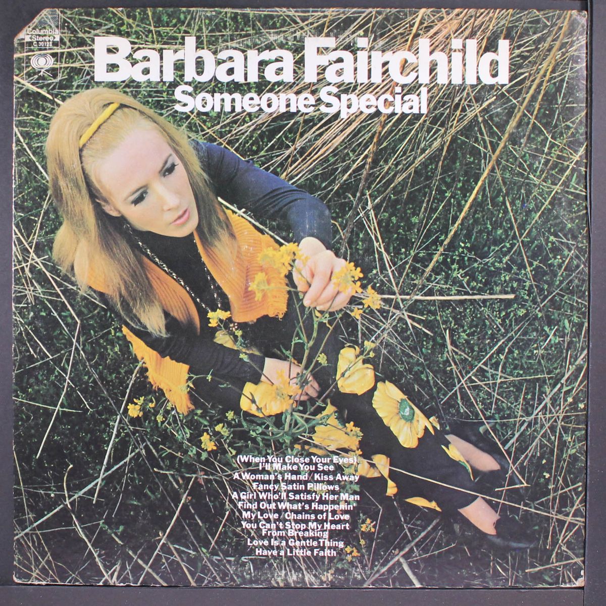 someone special by BARBARA FAIRCHILD