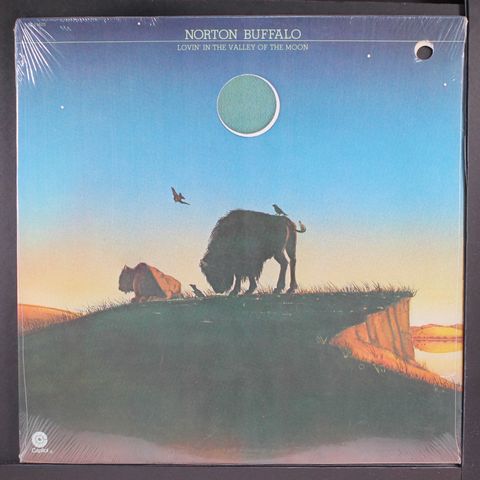 NORTON BUFFALO