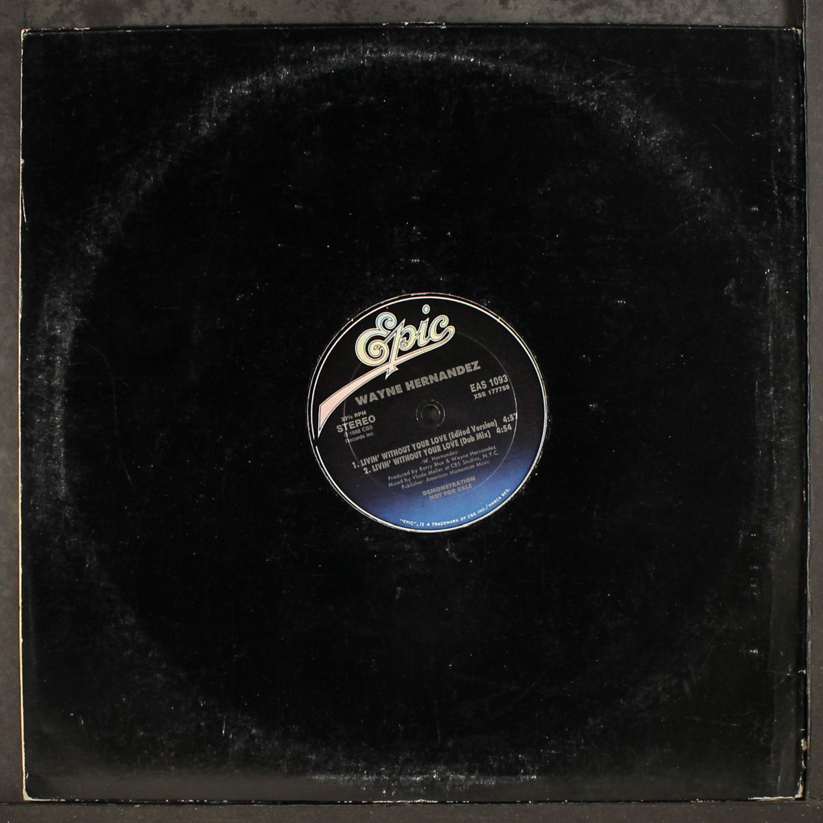 livin' without your love / dub by WAYNE HERNANDEZ