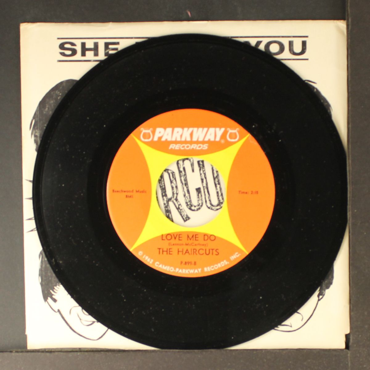 she loves you / love me do by HAIRCUTS