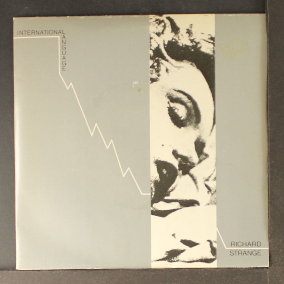 international language by RICHARD STRANGE