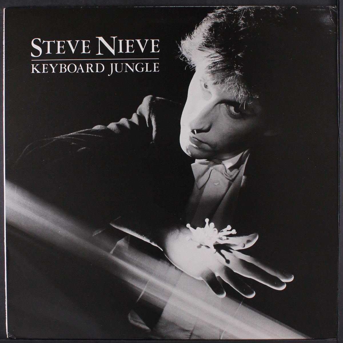 keyboard jungle by STEVE NIEVE