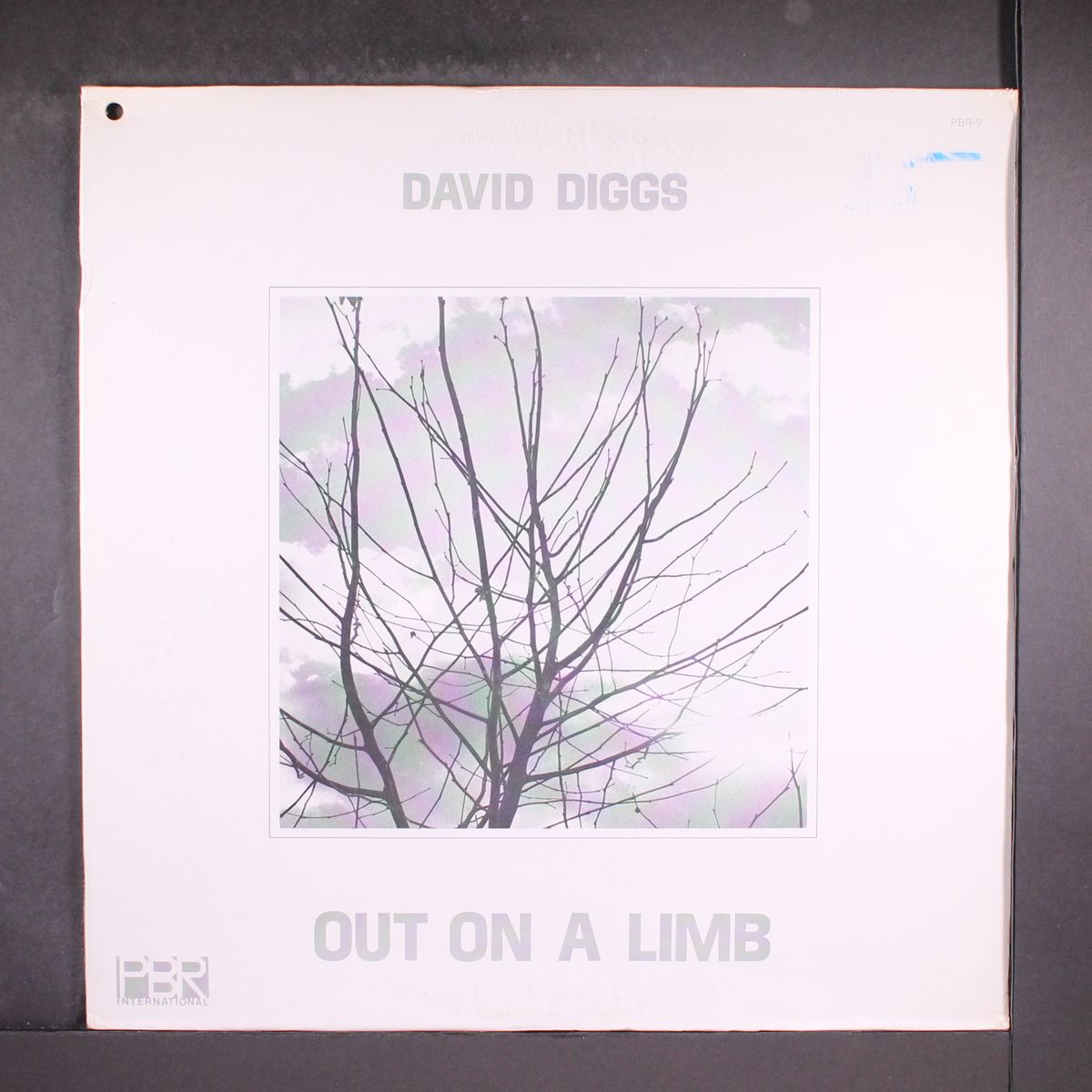 out on a limb by DAVID DIGGS