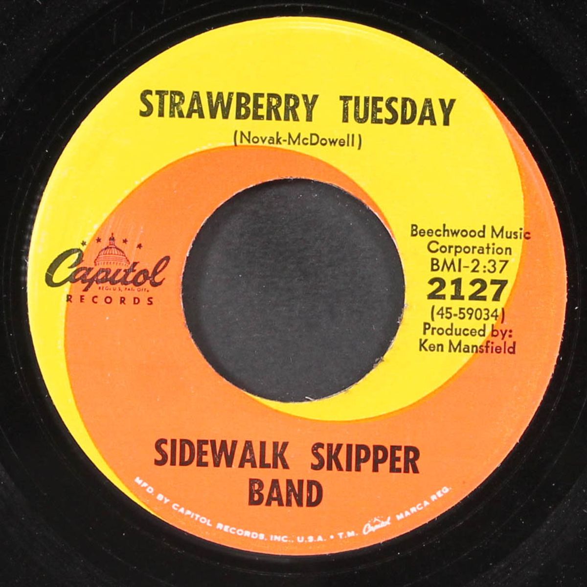 strawberry tuesday / cynthia at the garden by SIDEWALK SKIPPER BAND