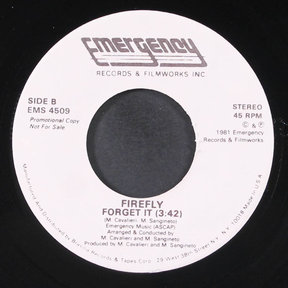 forget it / love (is gonna be on your side) by FIREFLY