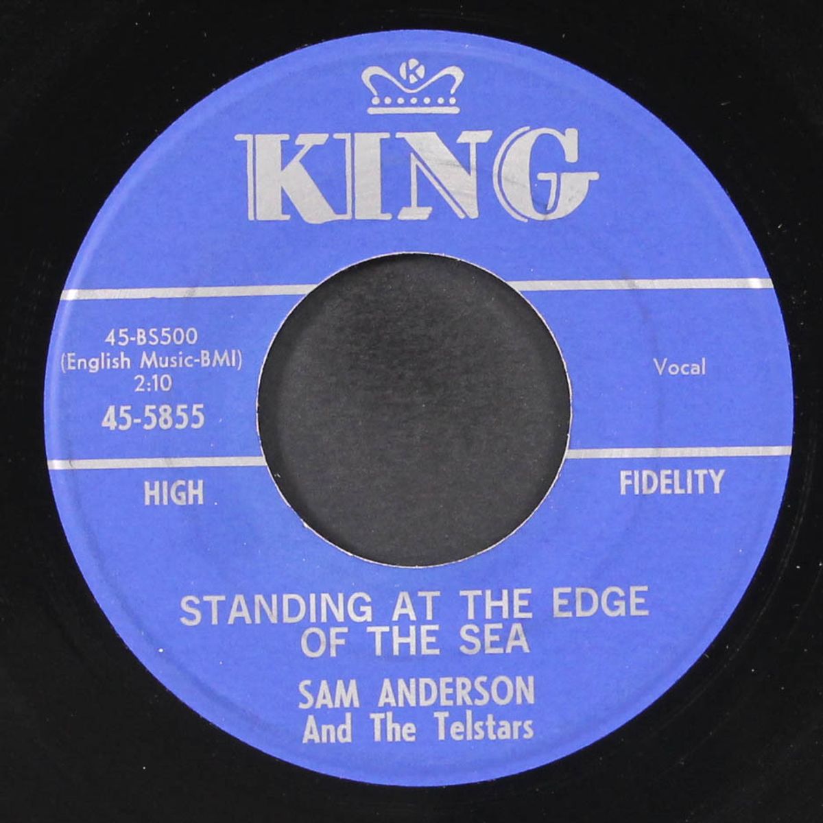 standing at the edge of the sea by SAM ANDERSON & TELSTARS