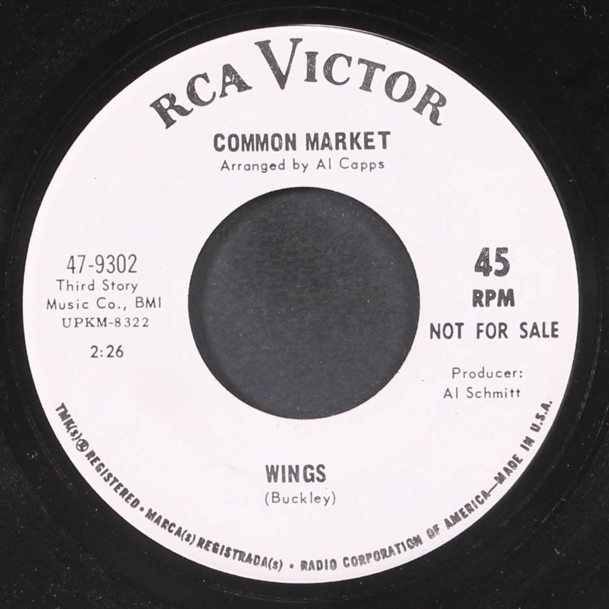 i love my dog / wings by COMMON MARKET