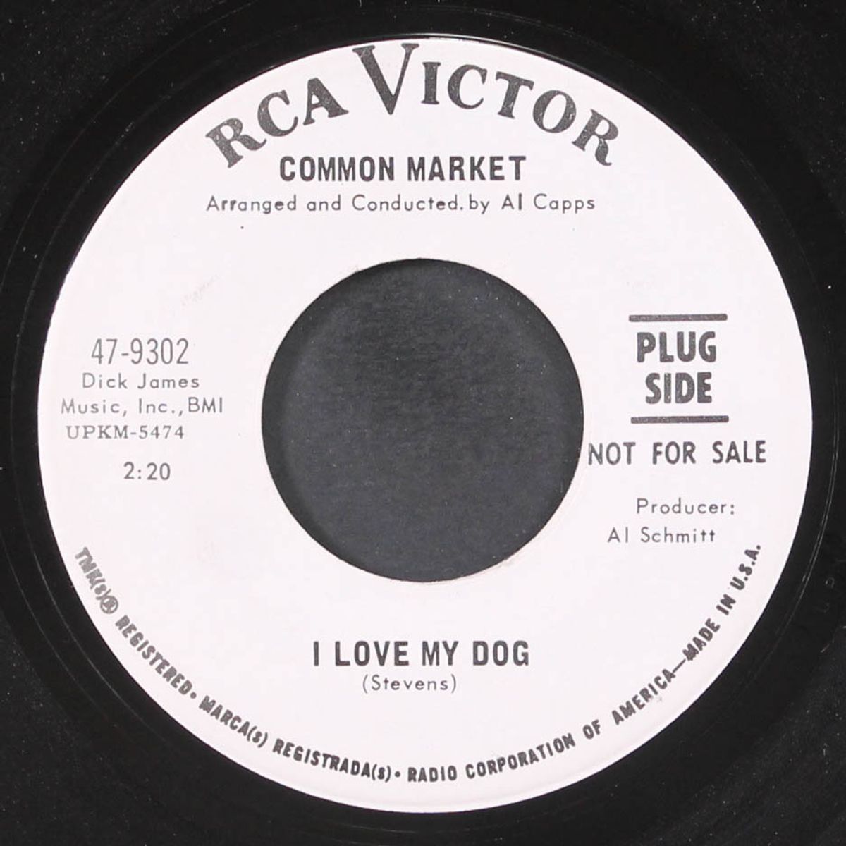 i love my dog / wings by COMMON MARKET