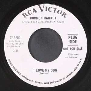 COMMON MARKET