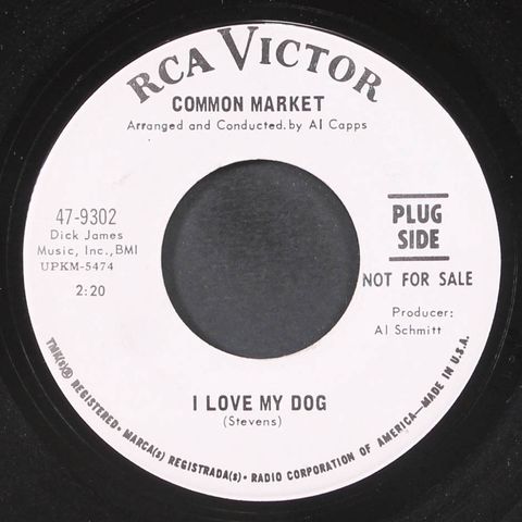COMMON MARKET