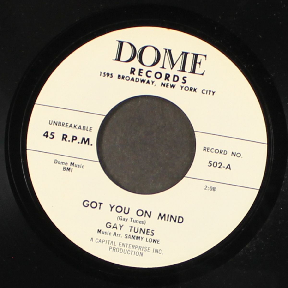got you on my mind / don't go by GAY TUNES