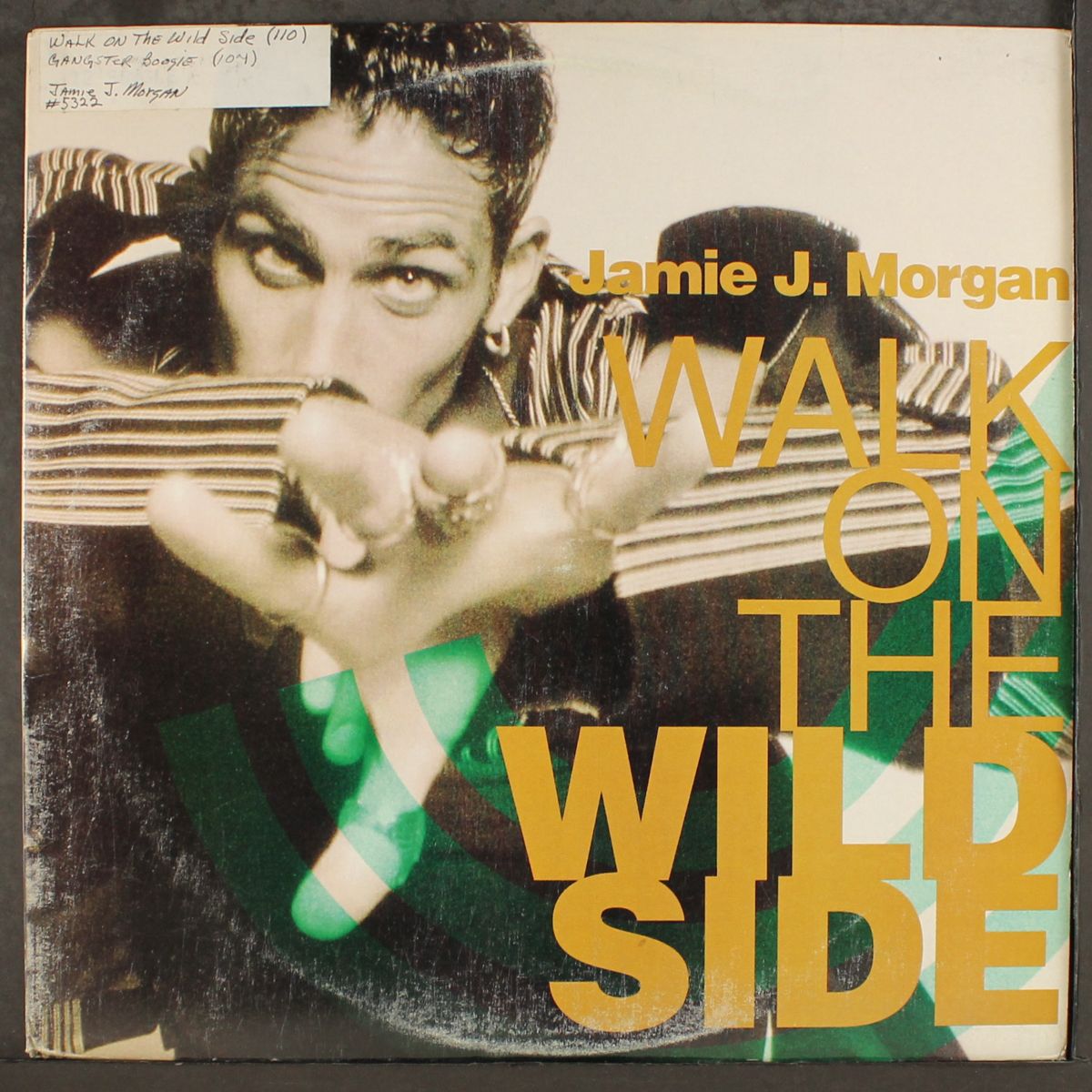 walk on the wild side by JAMIE J. MORGAN