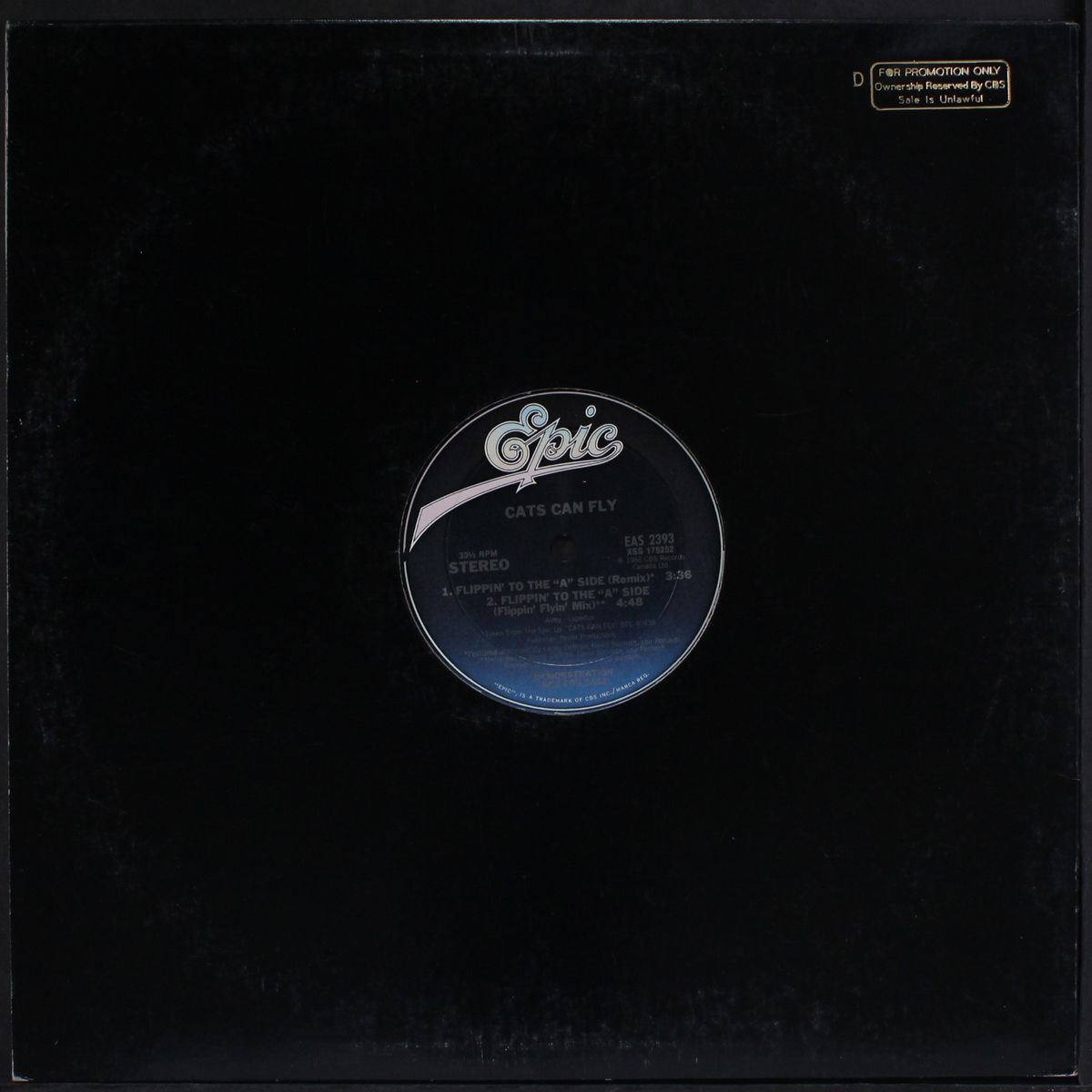 flippin' to the a side (remix) by CATS CAN FLY