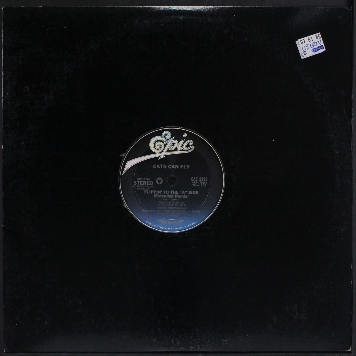 flippin' to the a side (remix) by CATS CAN FLY