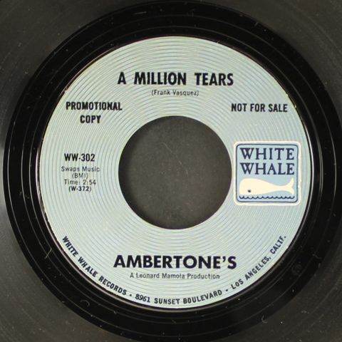 AMBERTONE'S