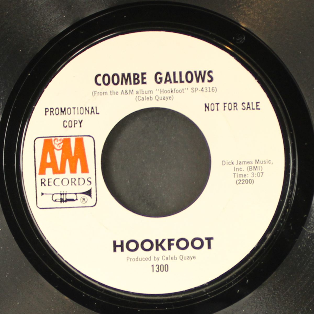 don't let it bring you down / coombe gallows by HOOKFOOT