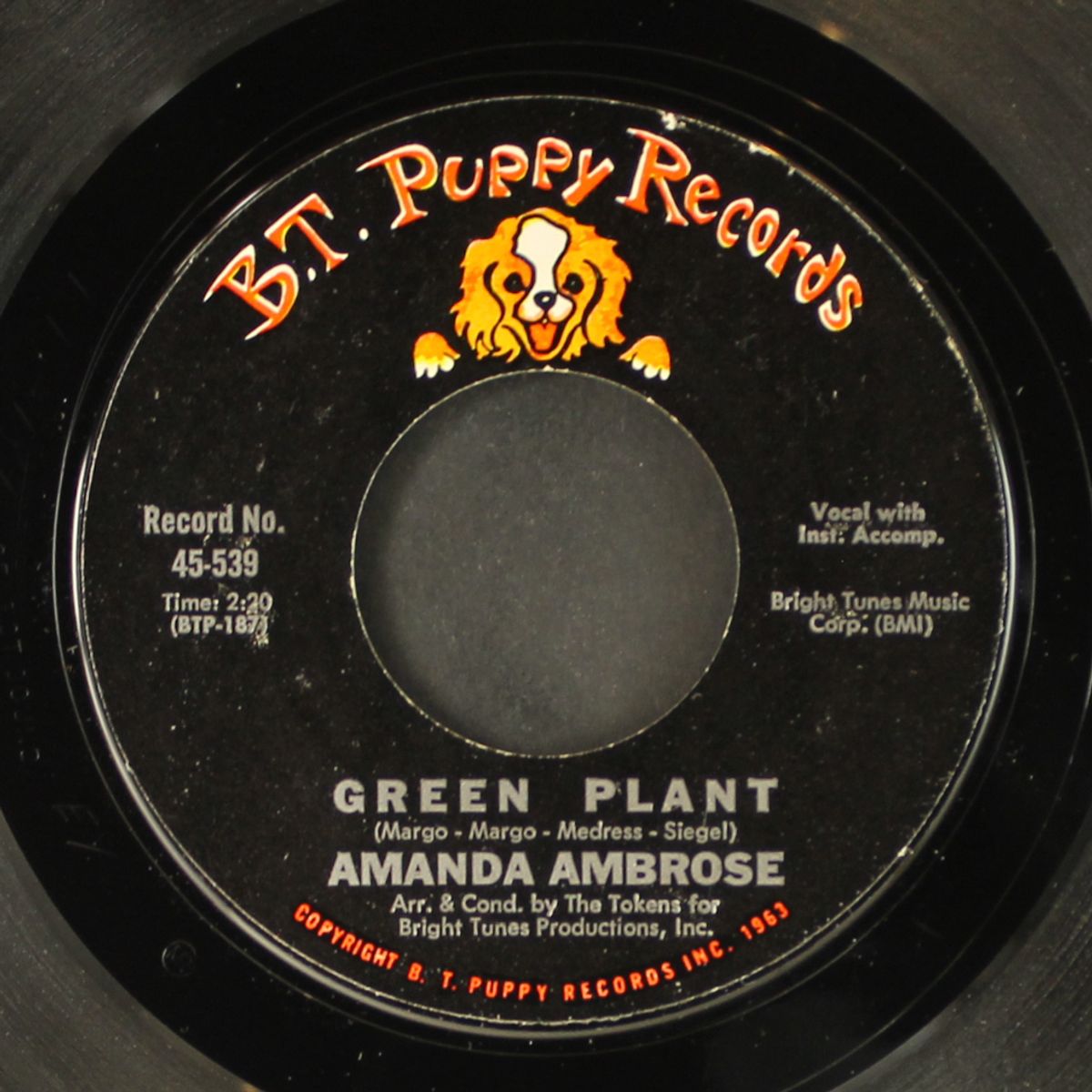 amanda's man / green plant by AMANDA AMBROSE