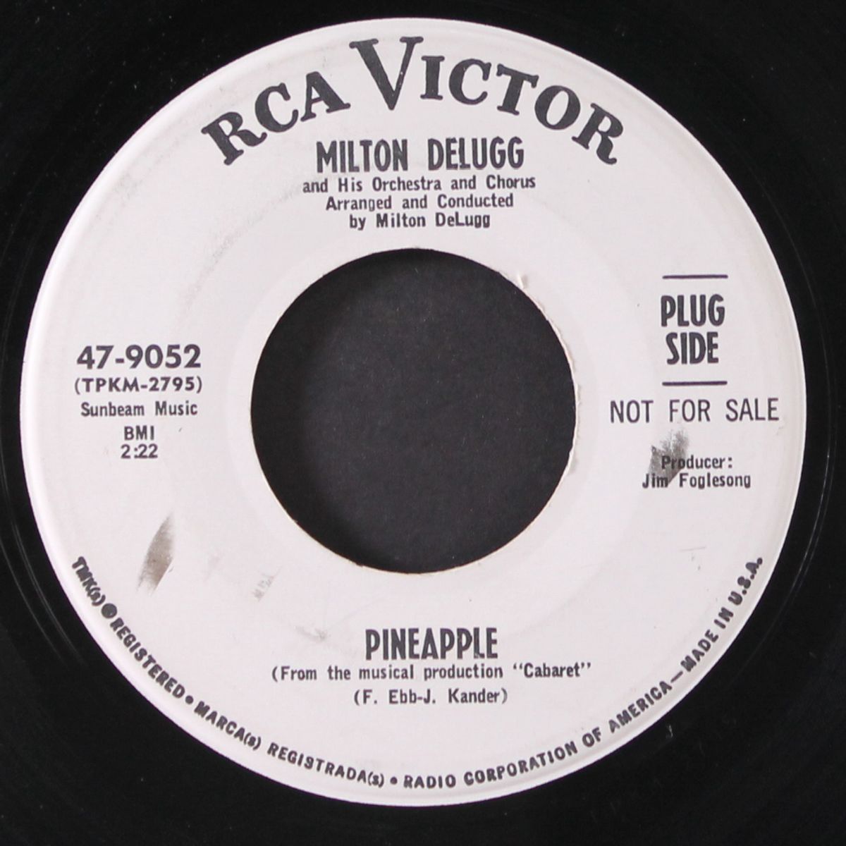 pineapple / the spy with the cold nose by MILTON DELUGG