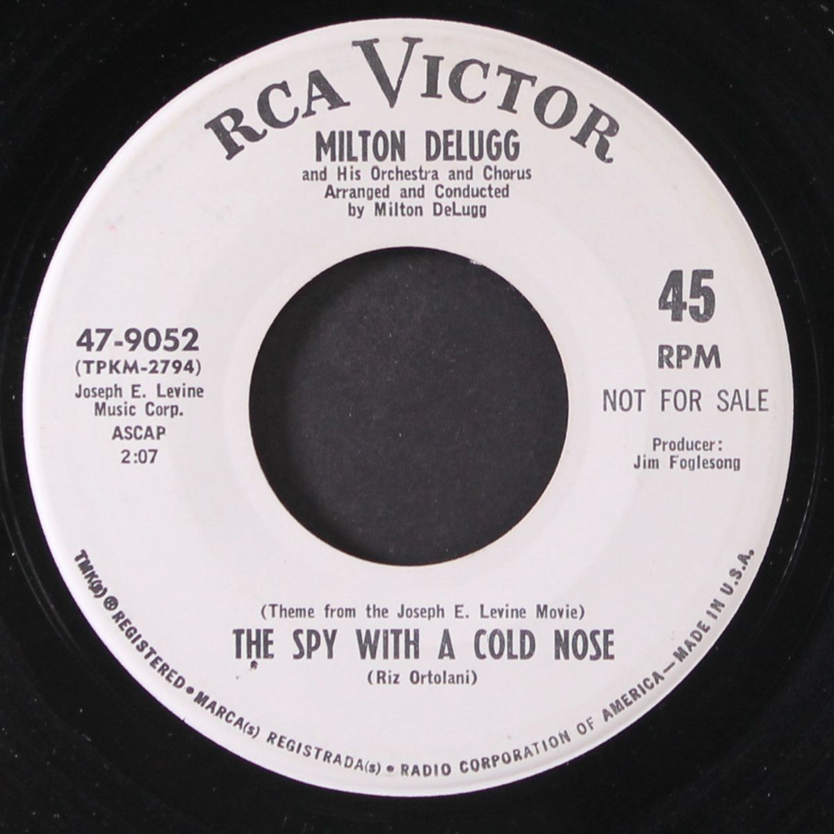 pineapple / the spy with the cold nose by MILTON DELUGG