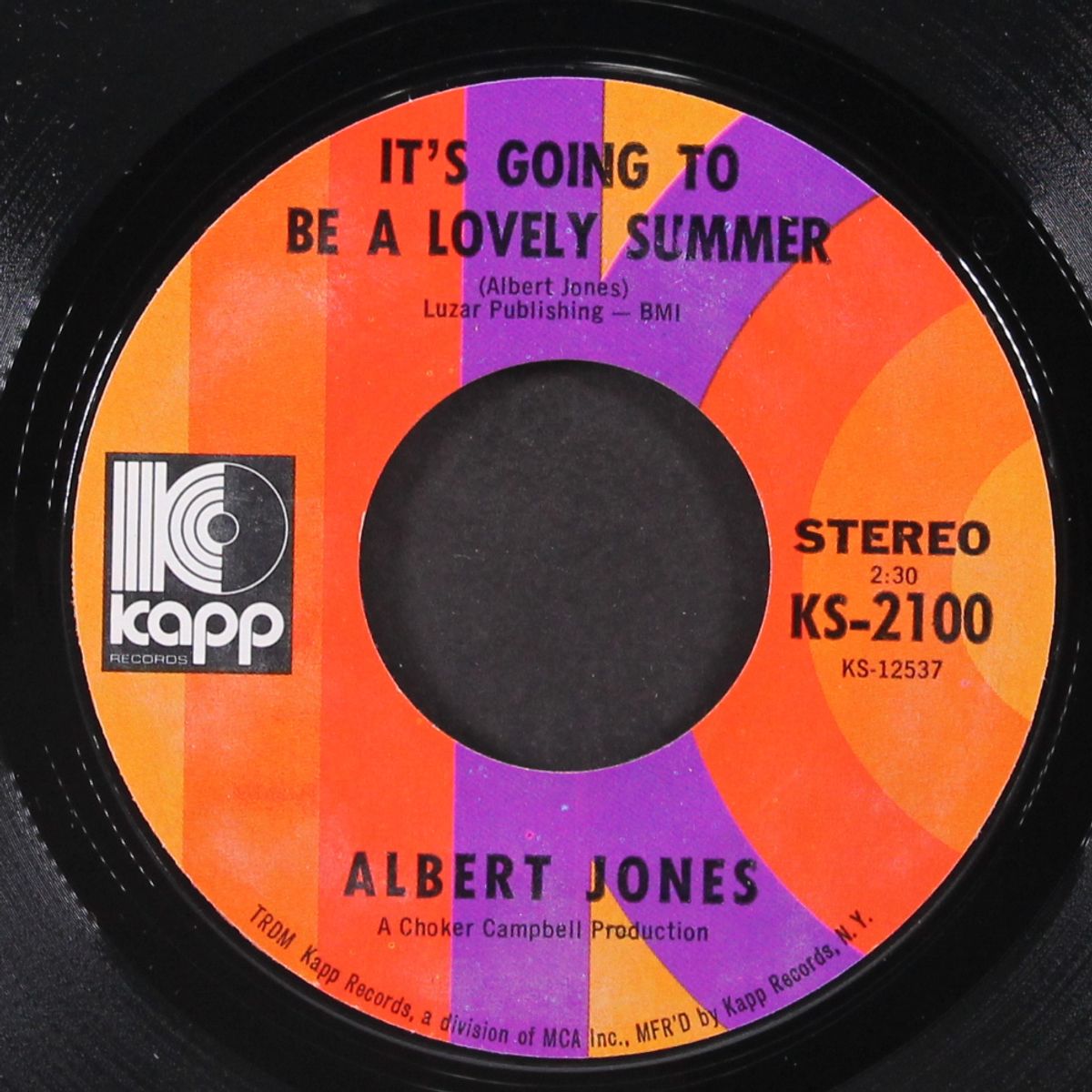 it's going to be a lovely summer / monkey boogaloo by ALBERT JONES