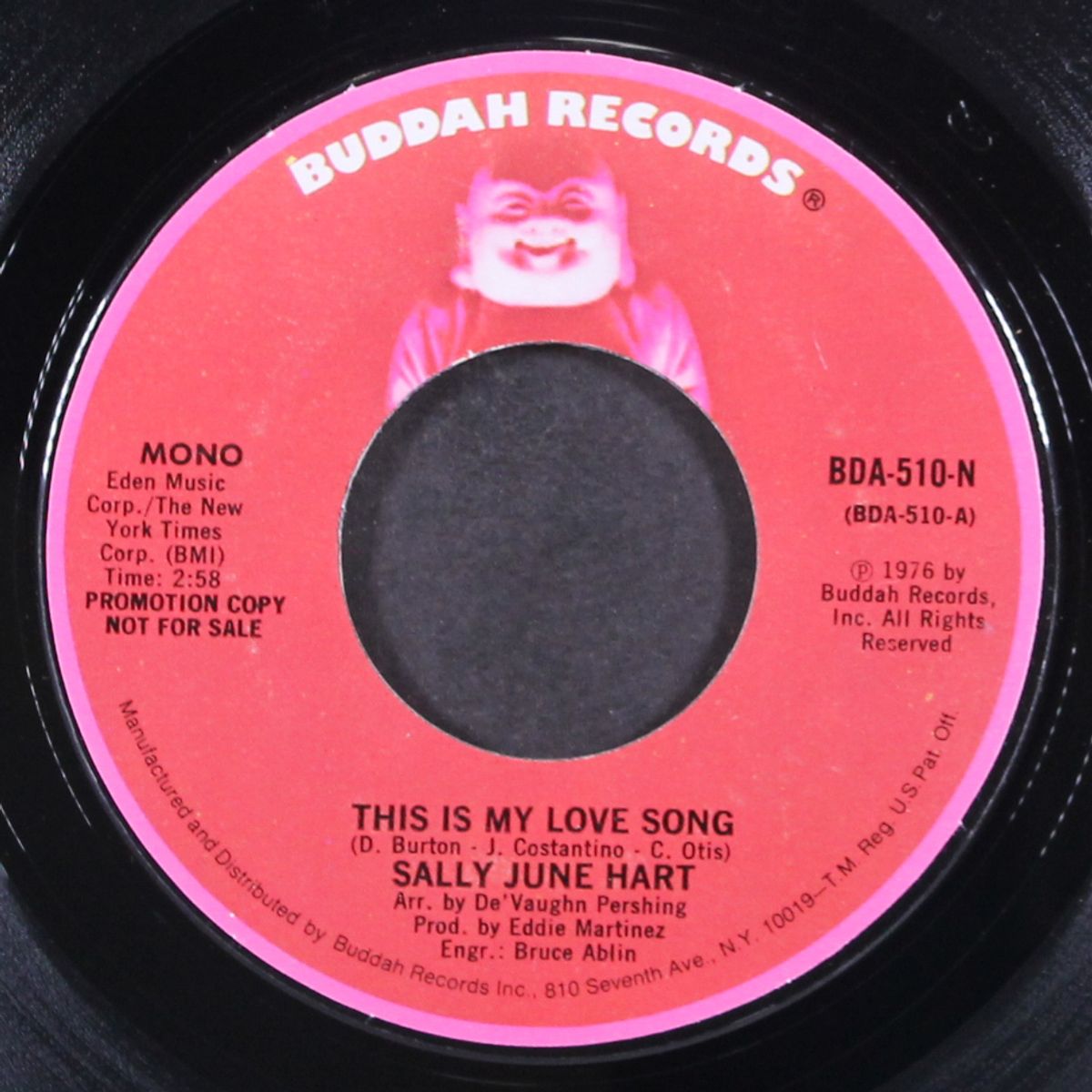 this is my love song / mono by SALLY JUNE HART
