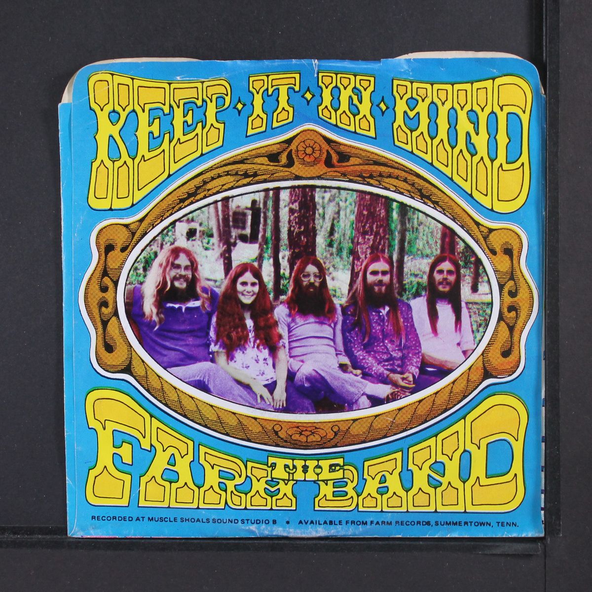 keep it in mind / everything's gonna be all right by FARM BAND