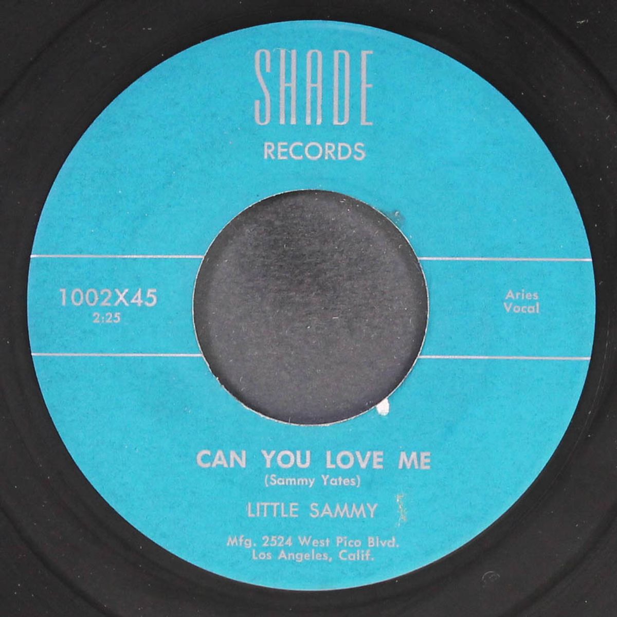 can you love me / papa did the chicken by LITTLE SAMMY & GROUP