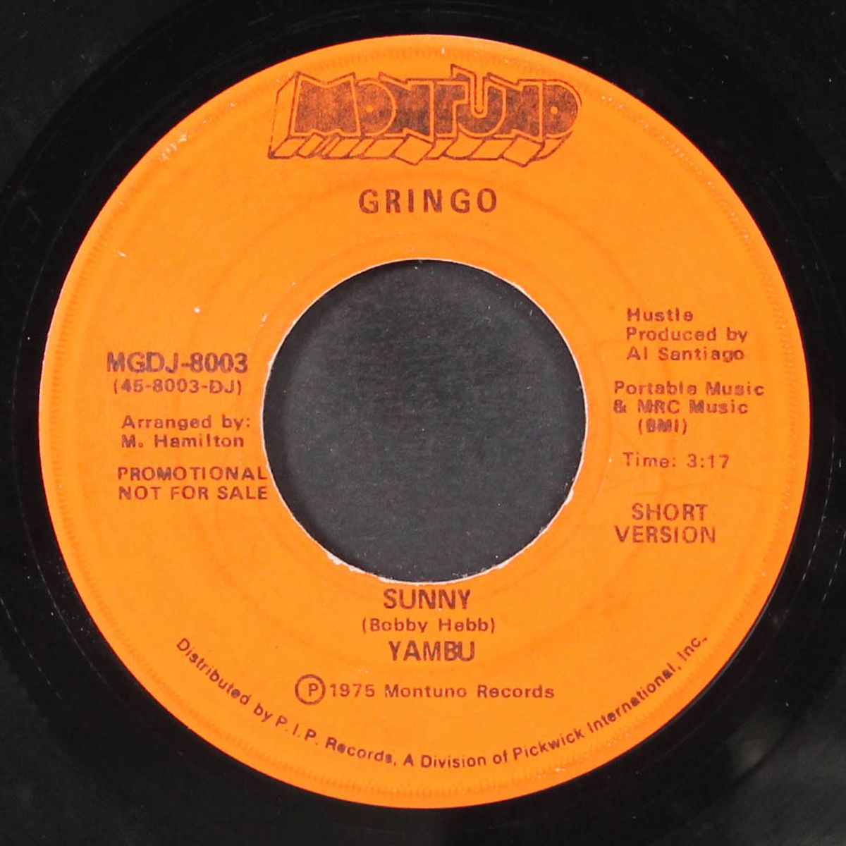sunny / caballo by YAMBU