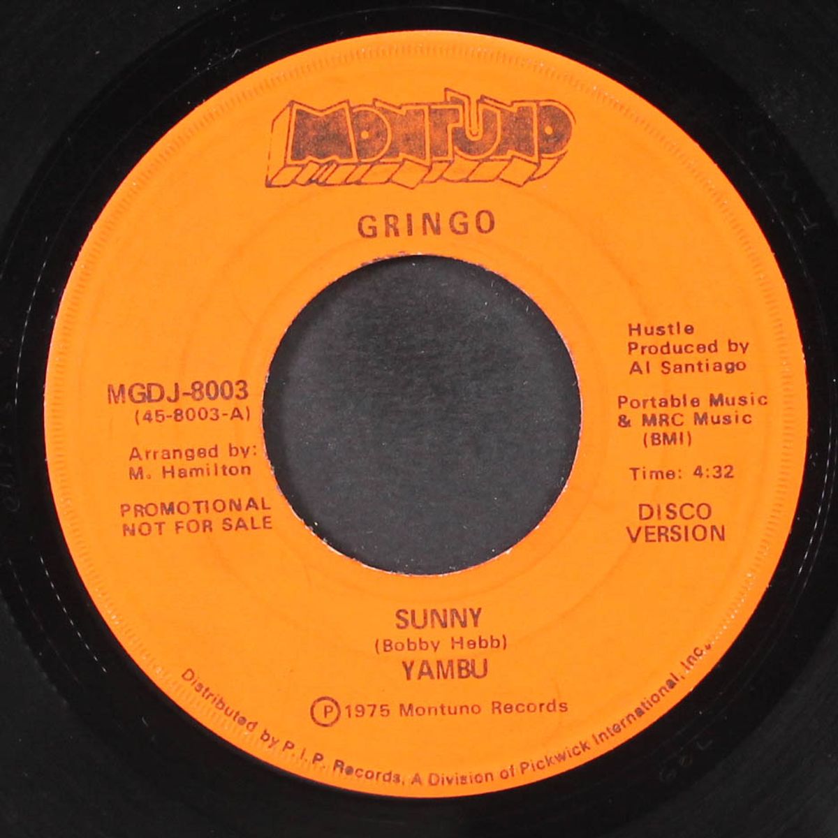 sunny / caballo by YAMBU