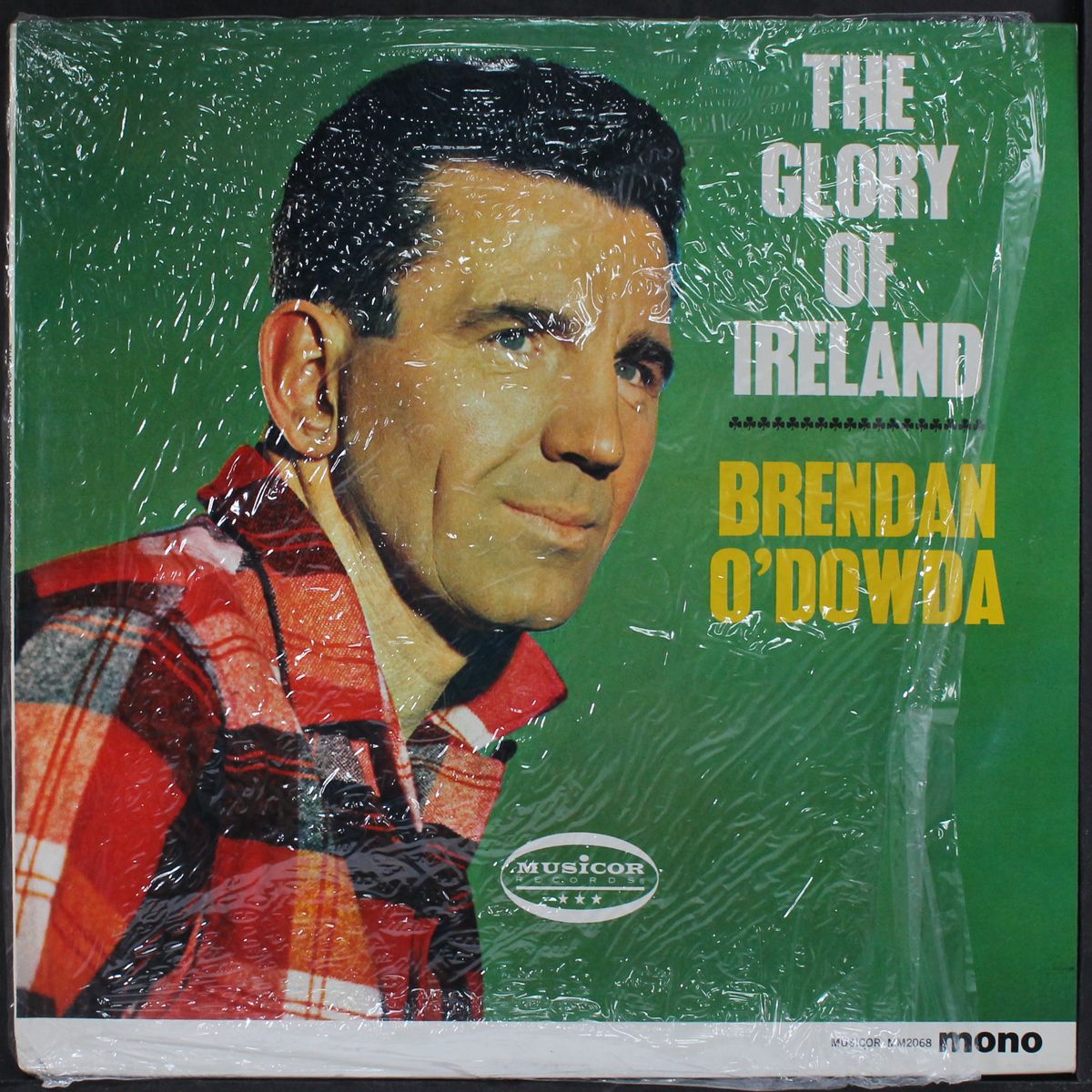 the glory of ireland by BRENDAN O'DOWDA
