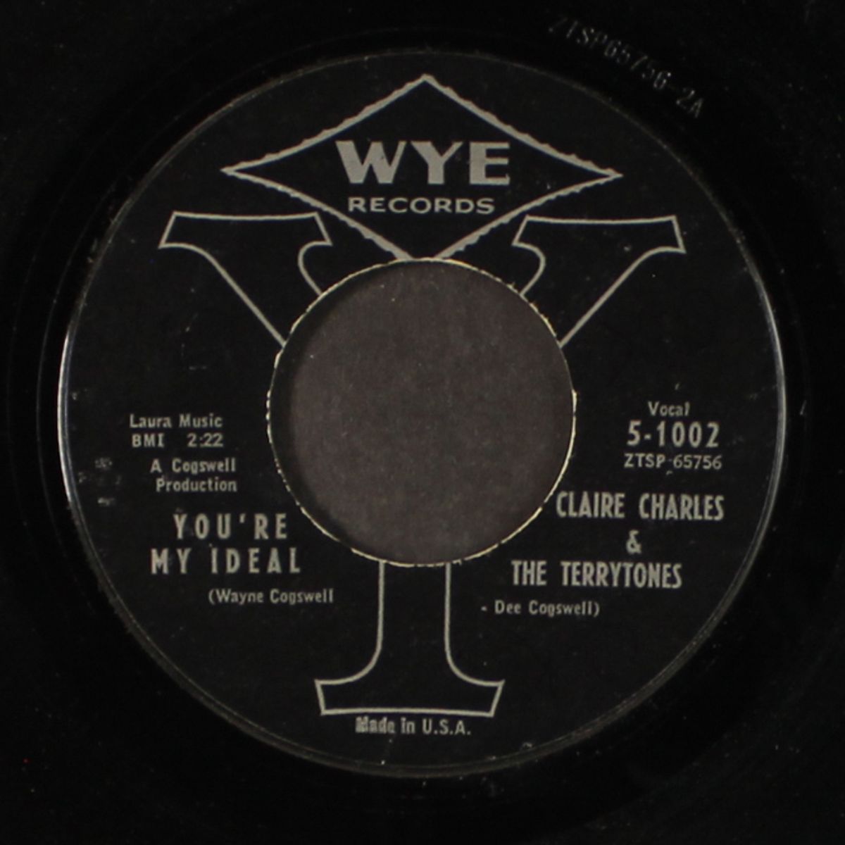 you're my ideal by CLAIRE CHARLES & TERRYTONES
