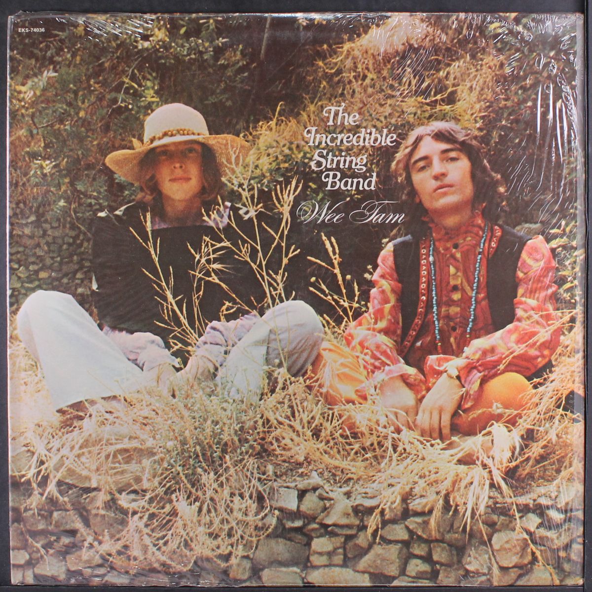 wee tam by INCREDIBLE STRING BAND