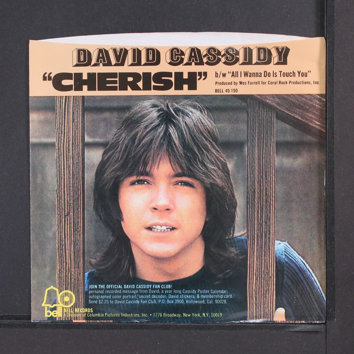 cherish / all i wanna do by DAVID CASSIDY