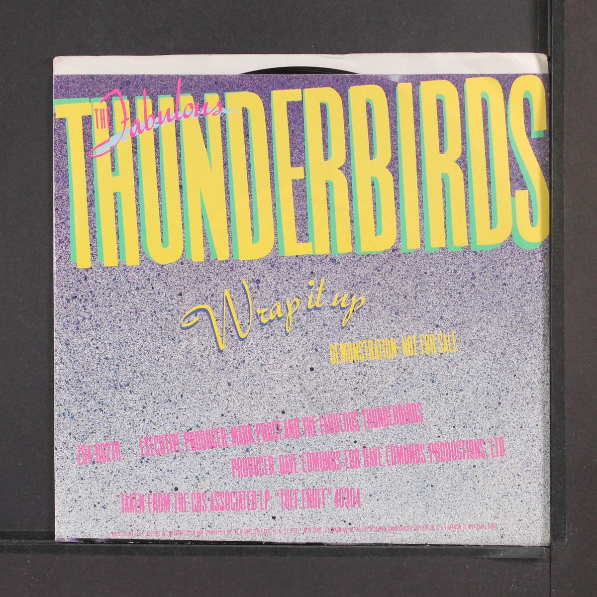 wrap it up / same by FABULOUS THUNDERBIRDS