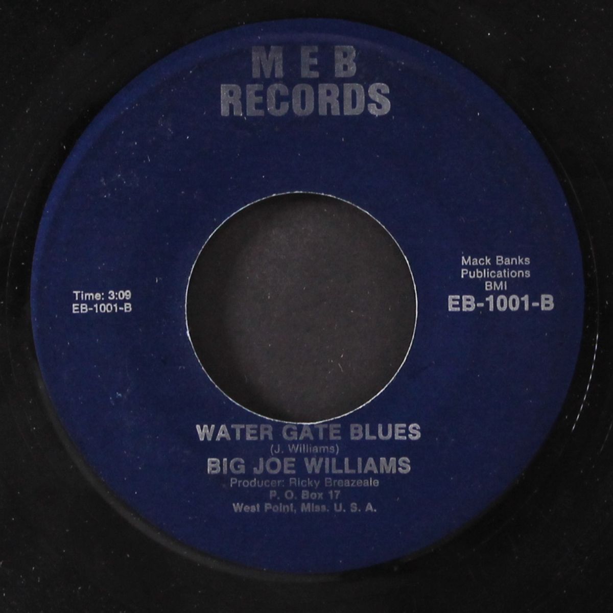 sugar hill / water gate blues by BIG JOE WILLIAMS