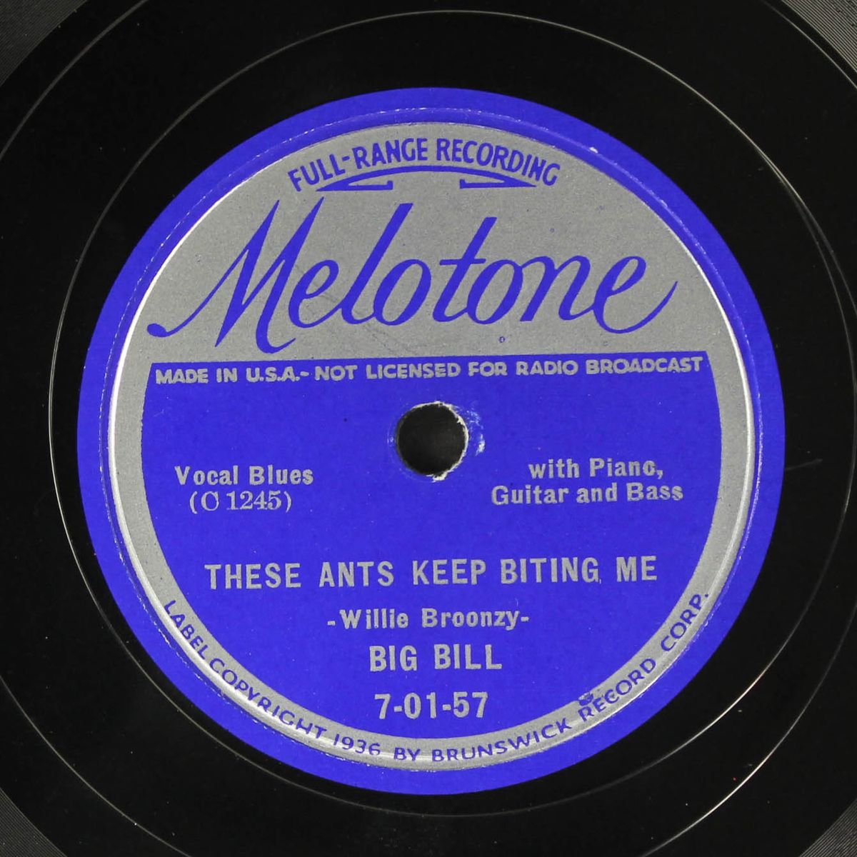 these ants keep biting me / black mare blues by BIG BILL