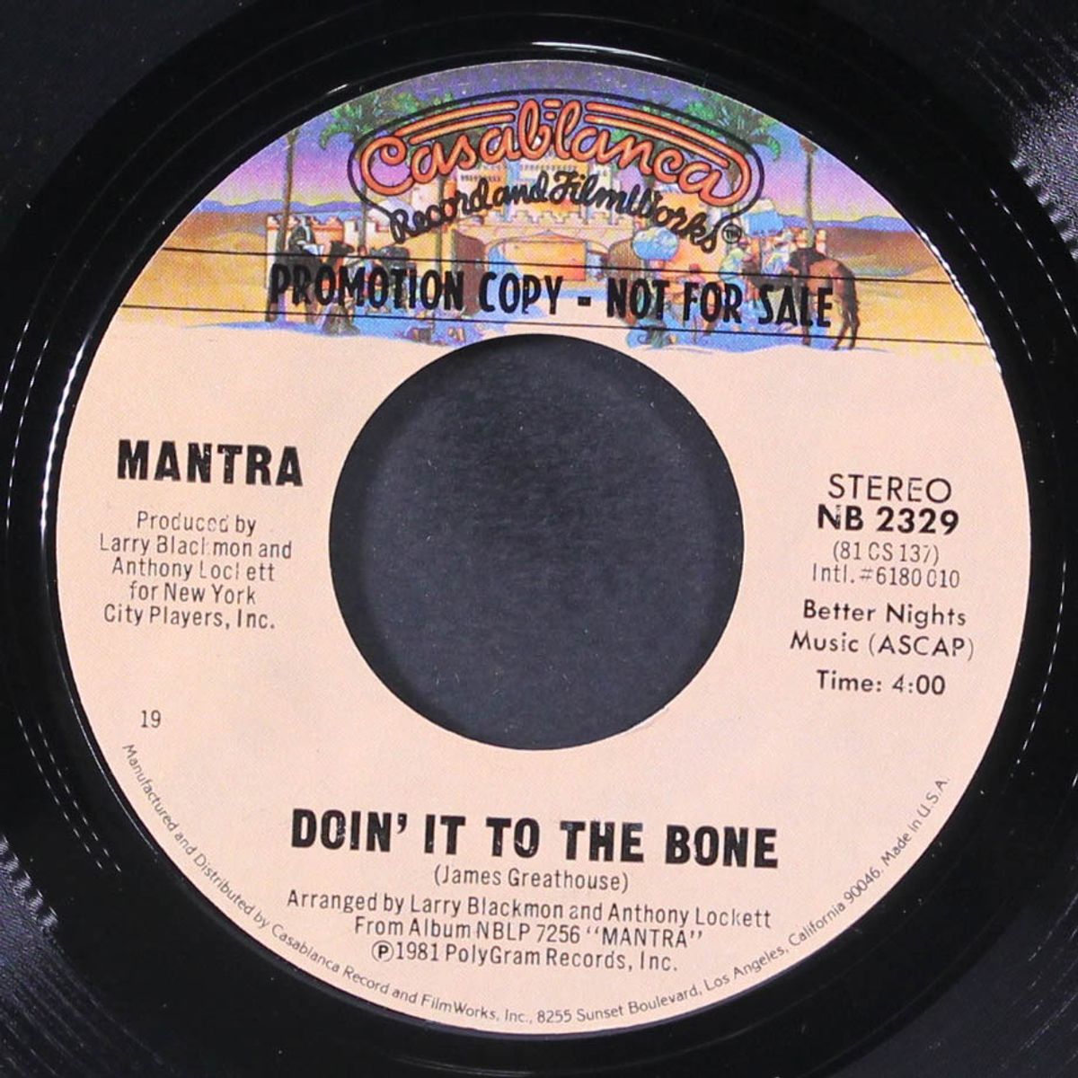 doin' it to the bone / same by MANTRA