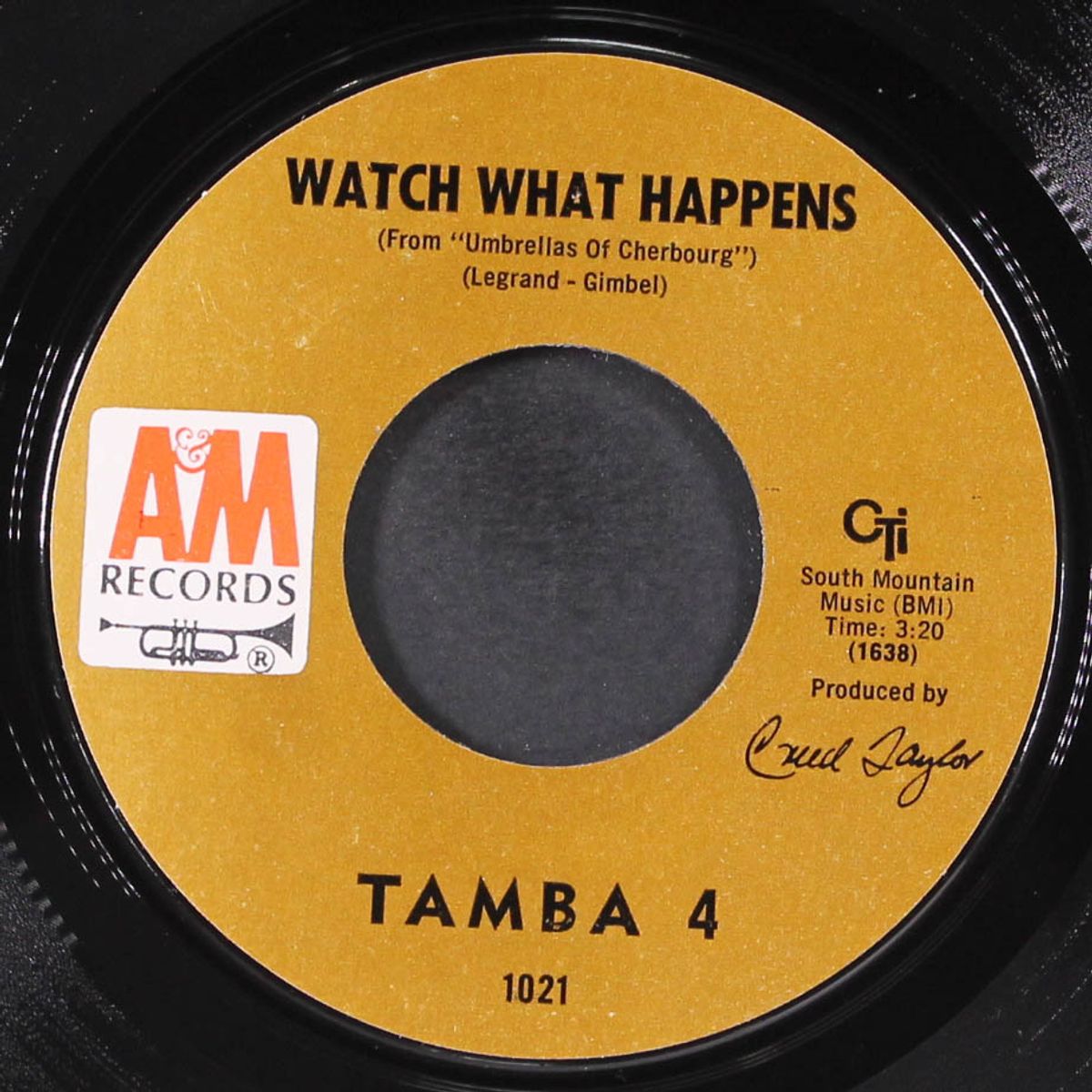 samba blim / watch what happens by TAMBA 4
