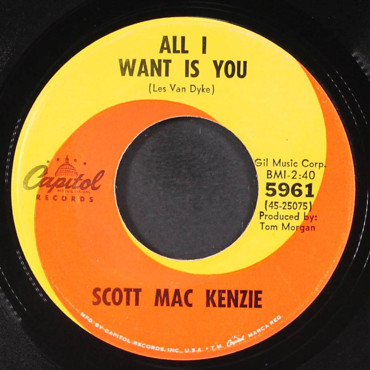 look in your eyes / all i want is you by SCOTT MAC KENZIE